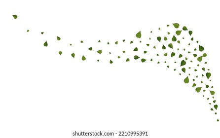 Green Leaf Abstract Vector White Background Plant. Tea Foliage Brochure. Grassy Leaves Flying Design. Greens Ecology Pattern.