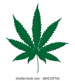 Hoja verde de anasha. Imagen vectorial, eps 10