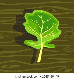 Green leaf. Arugula.  Fresh vegetable on a green wooden table. Isolated object for the menu of the restaurant and cafe. Vector illustration