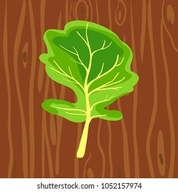 Green leaf. Arugula. Fresh vegetable for the menu. Brown wooden background. Icon. Isolated object. Vector illustration