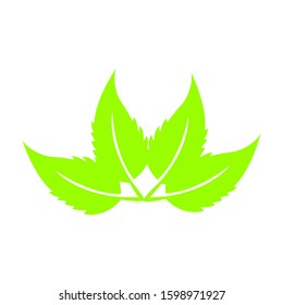 
Green leaf for backgraund design