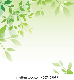 Green Leaf Background