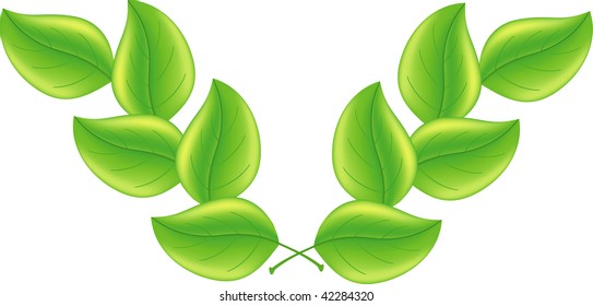 Green leaf background