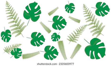 hoja verde hoja de fondo hoja de fondo verde libro de fondo revista ilustración hoja de fondo blanco fondo aislado