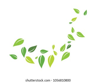fondo de hoja verde, elemento de naturaleza ecológica icono vectorial