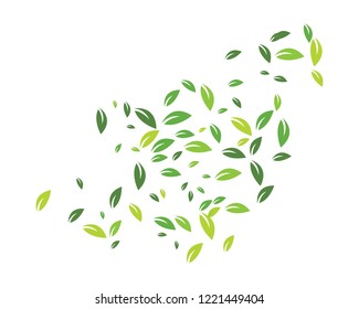 green leaf background ecology nature element vector icon