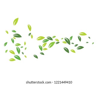 green leaf background ecology nature element vector icon