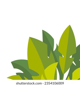Green leaf background. Floral natural ground decorated bunch of light green fresh leaves, decorative backdrop for spring time season design. Banner, eco exotic poster, flyer with place for your text