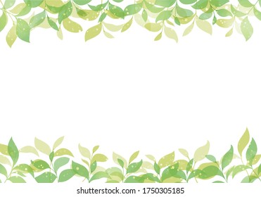 Material del marco de fondo de la hoja verde