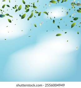 Green leaf background. Luxury background design concept. Abstract art. Tropical summer leaf design. Pattern art illustration design. Summer Sale Banner. Greenery Leaves and Gold Confetti Wallpaper.