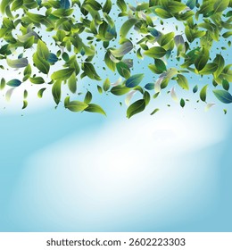 Green leaf background. Luxury background design concept. Abstract art. Tropical summer leaf design. Pattern art illustration design. Summer Sale Banner. Greenery Leaves and Gold Confetti Wallpaper.