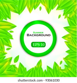 Green leaf background with place for your message. Vector illustration