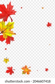 Green Leaf Background Transparent Vector. Floral September Template. Brown Ground Plant. Flying Foliage Illustration.