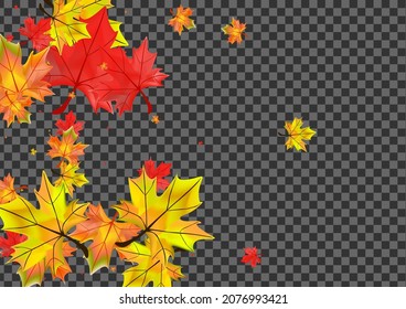 Green Leaf Background Transparent Vector. Plant Abstract Card. Colorful Isolated Floral. Wallpaper Foliage Texture.