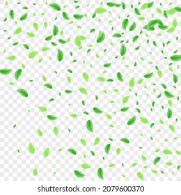 Green Leaf Background Transparent Vector. Vegetation Agriculture Illustration. Decorative Card. Greenish Simple Frame. Leaves Vibrant.