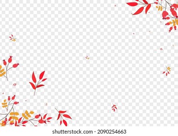 Green Leaf Background Transparent Vector. Foliage Sale Template. Pink Berries Fly. Rowan Illustration. Herb Elm.