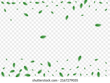 Green Leaf Background Transparent Vector. Leaves Rustic Design. Life Texture. Greenish Spring Card. Vegetation Icon.