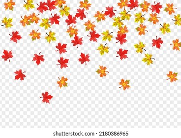Green Leaf Background Transparent Vector. Leaves Beautiful Template. Brown Design Foliage. Season Plant Frame.