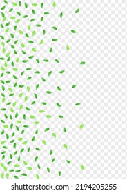 Green Leaf Background Transparent Vector. Sheet Template Texture. Herbarium Design. Greenish Pattern Card. Vegetation Abstract.