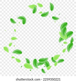 Green Leaf Background Transparent Vector. Plant Concept Design. Watercolor Texture. Light Green Twig Illustration. Greenery Banner.