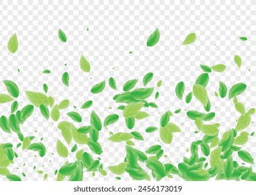 Green Leaf Background Transparent Vector. Vegetation Environment Design. Forest Texture. Greenish Peaceful Illustration. Foliage Cover.