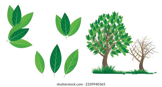fondo de hoja verde, tapiz de hojas tropicales, diseño de patrones de hojas naturales, artes de línea de hoja, diseño de contorno dibujado a mano para tela , impresión, cubierta, banner e invitación, ilustración vectorial.