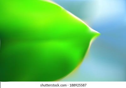  Green leaf for background. Vector illustration