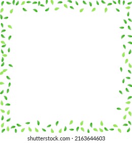 Green Leaf Background White Vector. Sheet Figure Frame. Summer Card. Light Green Isolate Texture. Vegetation Park.