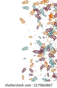 Green Leaf Background White Vector. Foliage Drawn Set. Red Herb. Yellow Plant Rowan. Simple Frame.