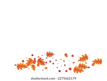 Green Leaf Background White Vector. Plant Art Design. Orange Oak. Floral Illustration. Yellow Acorn Agriculture.