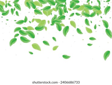 Green Leaf Background White Vector. Leaves Peaceful Card. Silhouette Texture. Light Green Border Illustration. Sheet Copy.