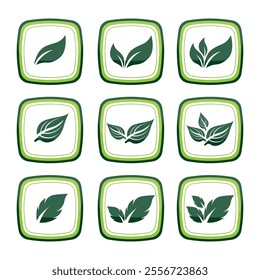 Green Leaf Badge Vector Illustration