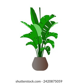 banana de hojas verdes en una olla