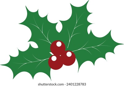Green leaf with berry for design and decoration christmas celebration