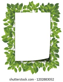 Green leaf blank border illustration