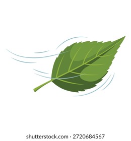 Grünes Blatt geblasen von Wind, Vektorgrafik im flachen Stil. Natürliches Blattwerk mit Bewegungslinien, einzeln auf weißem Hintergrund, perfekt für Herbst, Wetter, Öko und Naturdesign.