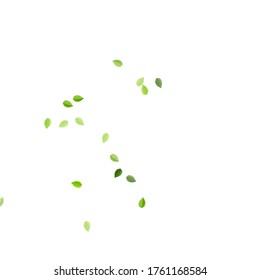 Green Leaf Blur Vector Concept. Tree Leaves Plant. Grassy Foliage Nature Illustration. Greens Flying Border.