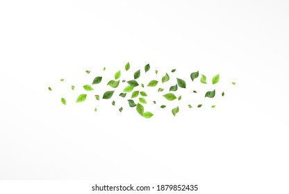 Green Leaf Blur Vector White Background Backdrop. Organic Foliage Brochure. Lime Greenery Fresh Pattern. Leaves Spring Branch.