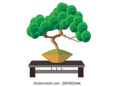 Bonsai de hoja verde en colores planos en un plato sobre una mesa.