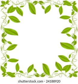 Green Leaf Border On White Background Stock Vector (Royalty Free ...