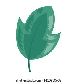 green leaf botanical foliage icon on white background vector illustration