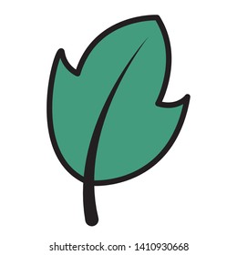 green leaf botanical foliage icon on white background vector illustration