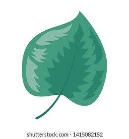 green leaf botanical foliage icon on white background vector illustration