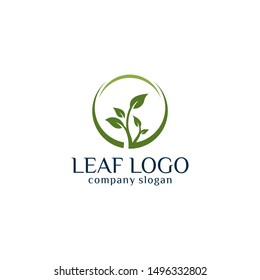 Green leaf botany icon eco logo design vector minimalist template download