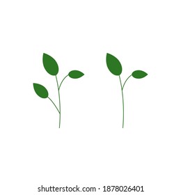 Green Leaf branch design illustration
