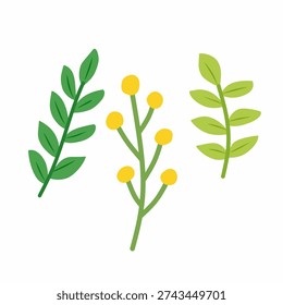 Rama hoja verde en