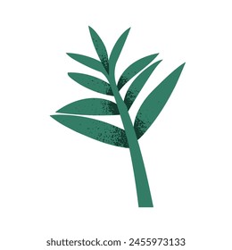 Green leaf branch. Fresh decorative foliage. Botanical floral natural design element, leaves. Tropical exotic plant, greenery, vegetation. Flat vector illustration isolated on white background