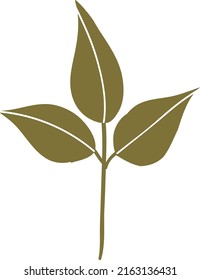 Green leaf branch Isolated On White Background, Vector silhouette Illustration. Simple tree organic logo concept. decorative floral botany sign icon. Natural summer fresh eco bio symbol