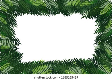 Ramas de hojas verdes sobre fondo blanco. Piso plano. Vista superior. Ilustración de fondo del vector EPS10.
