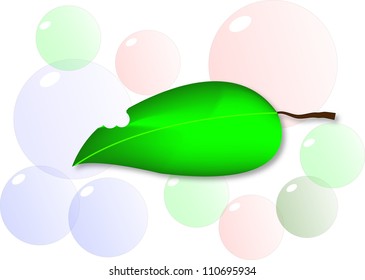 Green leaf and bubble